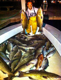 Brad with a boat full of Gag Grouper for Blue Ocean Market, Morehead City, NC