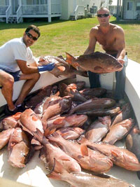 Boat full of red grouper