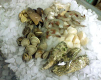Shellfish at Blue Ocean Market, Morehead City, NC