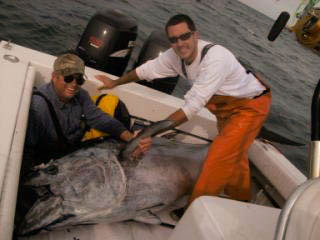 Dave with a 627 lb bluefin tuna, blue Ocean Market, Morehead City, NC